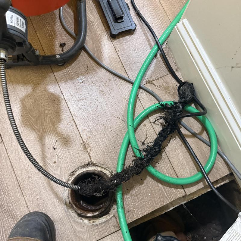 Main sewer pipe with roots removed during drain cleaning
