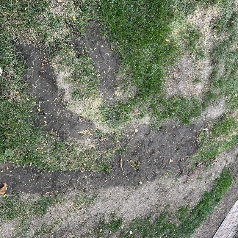 Yard globe foul plumbing valve failed, bare patches visible Yard globe foul plumbing valve failed, bare patches visible