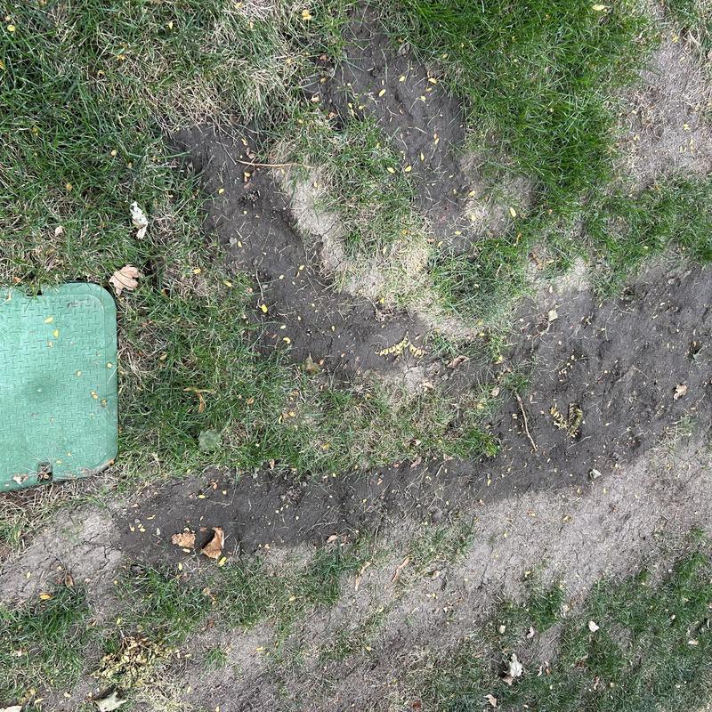 Globe valve yard plumbing with failed turf patches Globe valve yard plumbing with failed turf patches