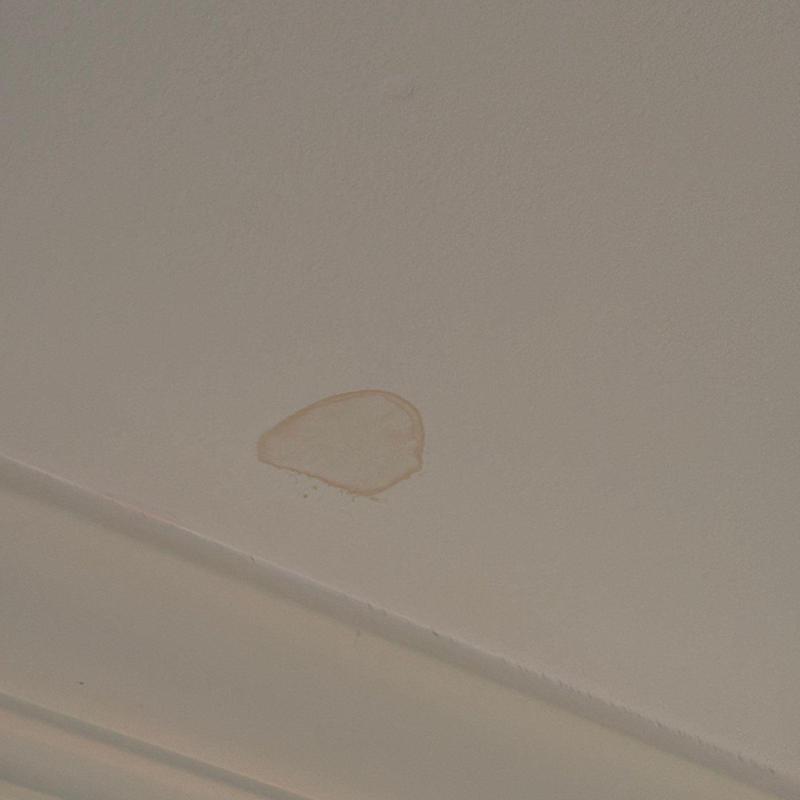 Ceiling stain near wall trim indicating water damage