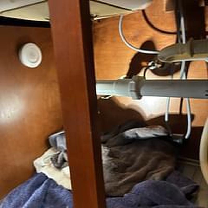 Combination kitchen laundry drain pipes under sink Combination kitchen laundry drain pipes under sink