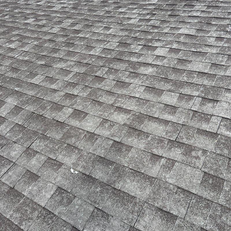 Asphalt shingle roof with hail damage and discoloration