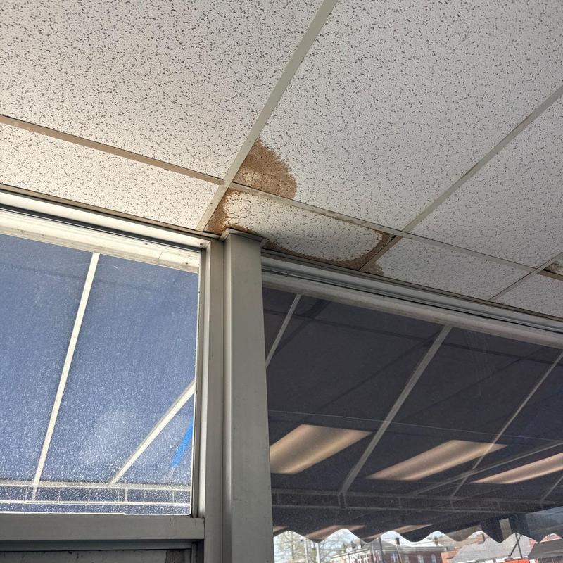 Ceiling tiles with water damage near window frame