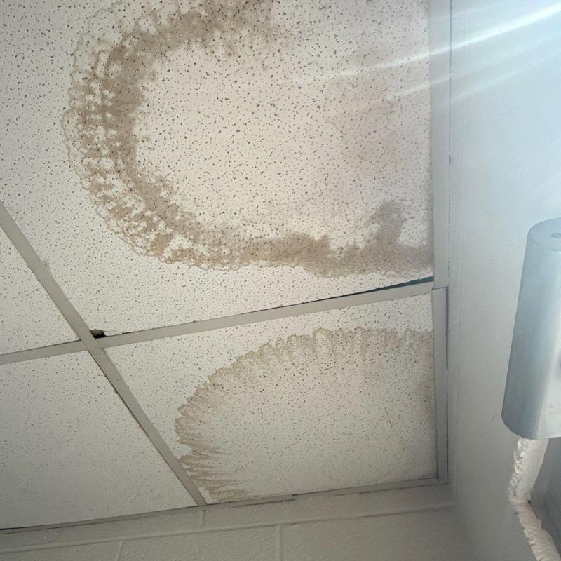 Ceiling tiles with water damage and stains