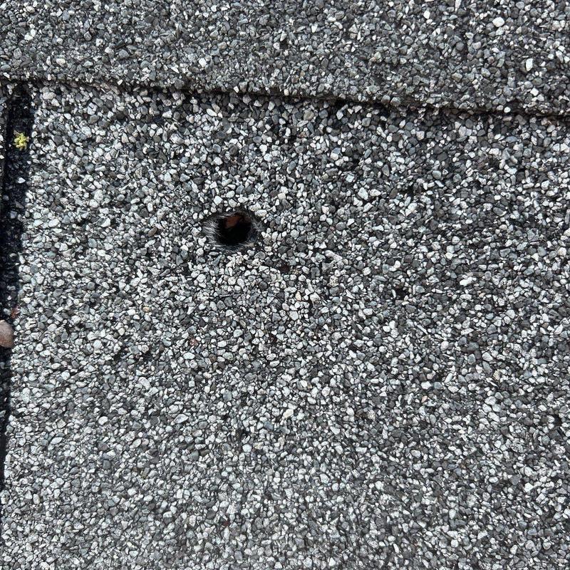 Asphalt shingle roof with hail damage hole close-up