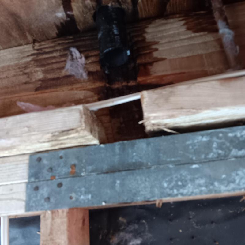 Secondary branch plumbing line leak with wood damage Secondary branch plumbing line leak with wood damage