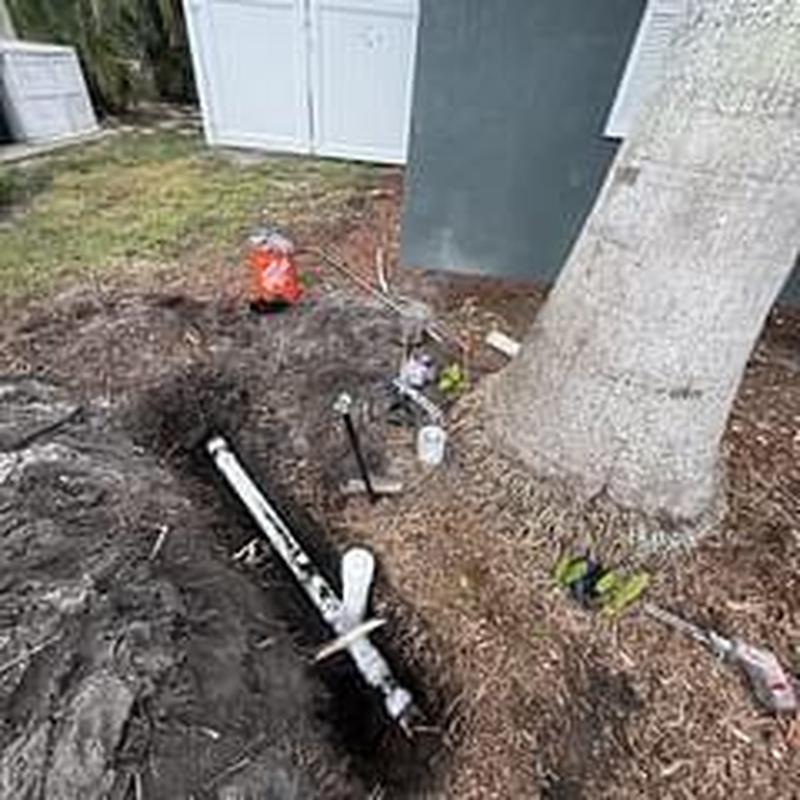 PVC cleanout pipe excavation and replacement near tree