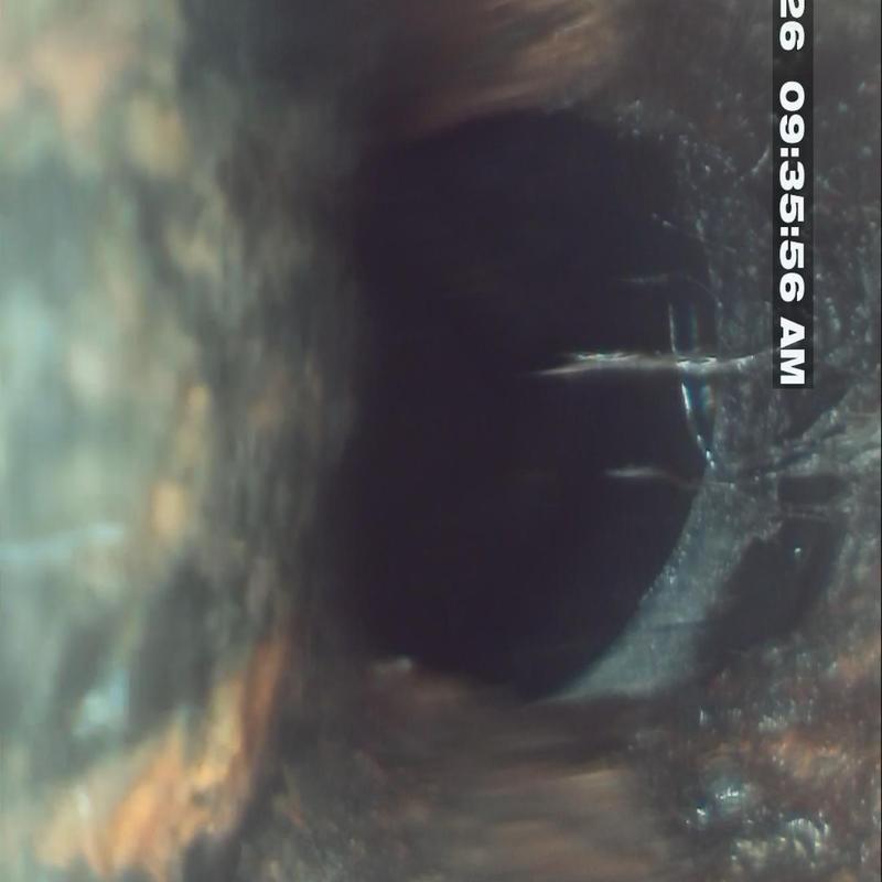 Sewer main line camera inspection showing pipe separation
