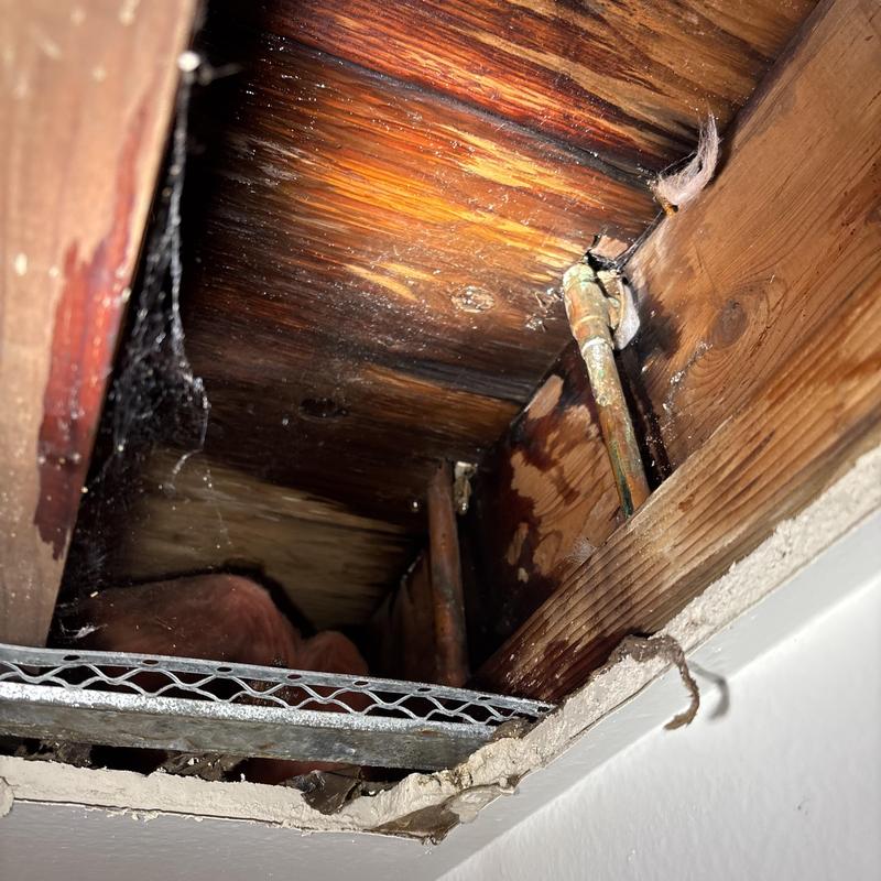 Copper water pipe with leak damage inside ceiling cavity