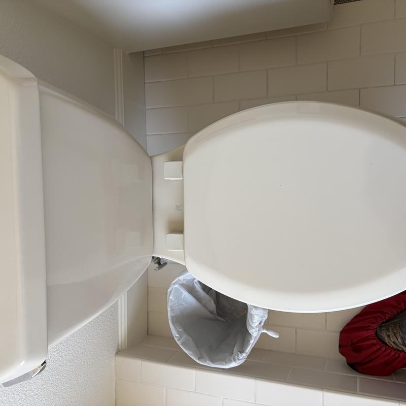 Toilet with closed lid and trash can in bathroom Toilet with closed lid and trash can in bathroom