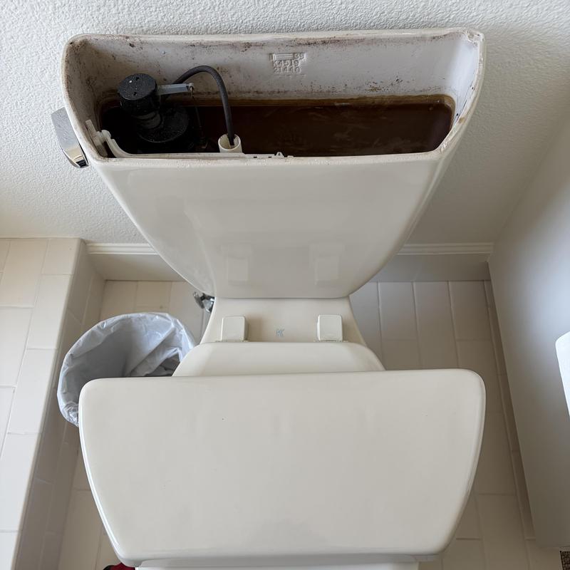 Toilet tank interior with stained water and components Toilet tank interior with stained water and components