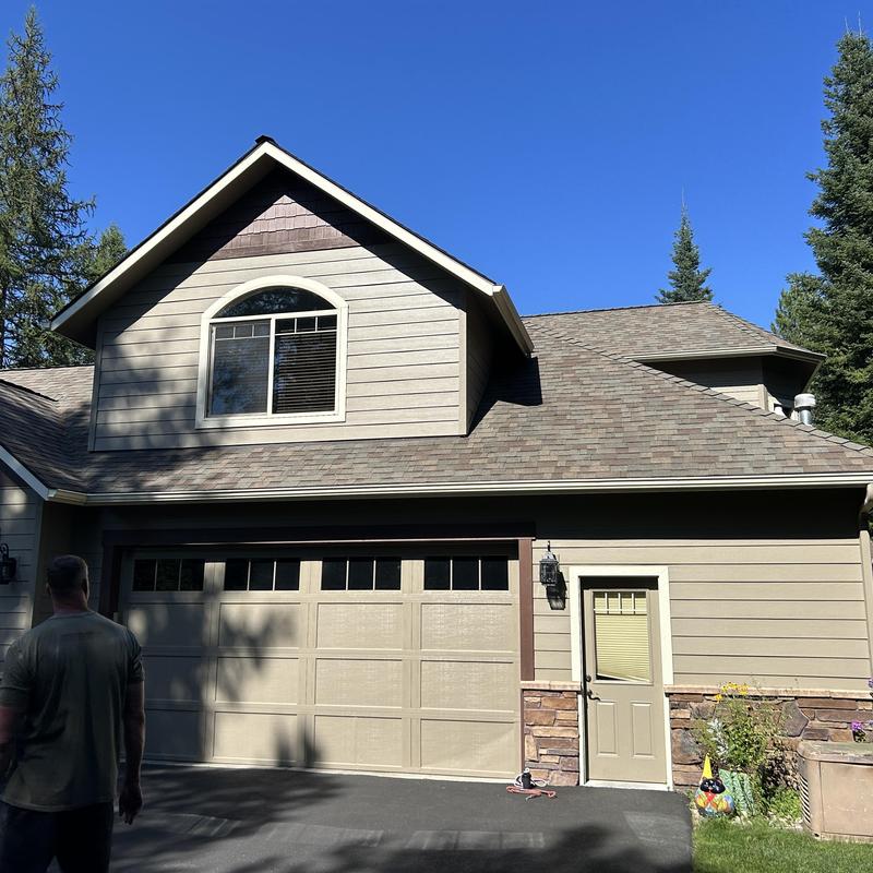 Roof shingles inspection with moisture ant concern Roof shingles inspection with moisture ant concern