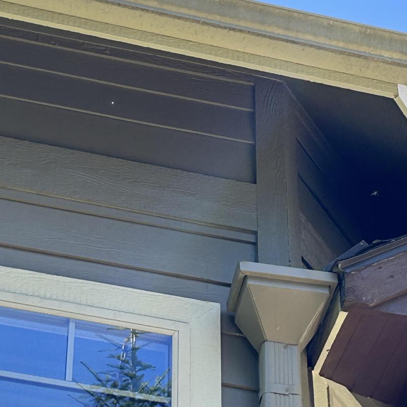 Roof gutter and siding corner with visible damage Roof gutter and siding corner with visible damage