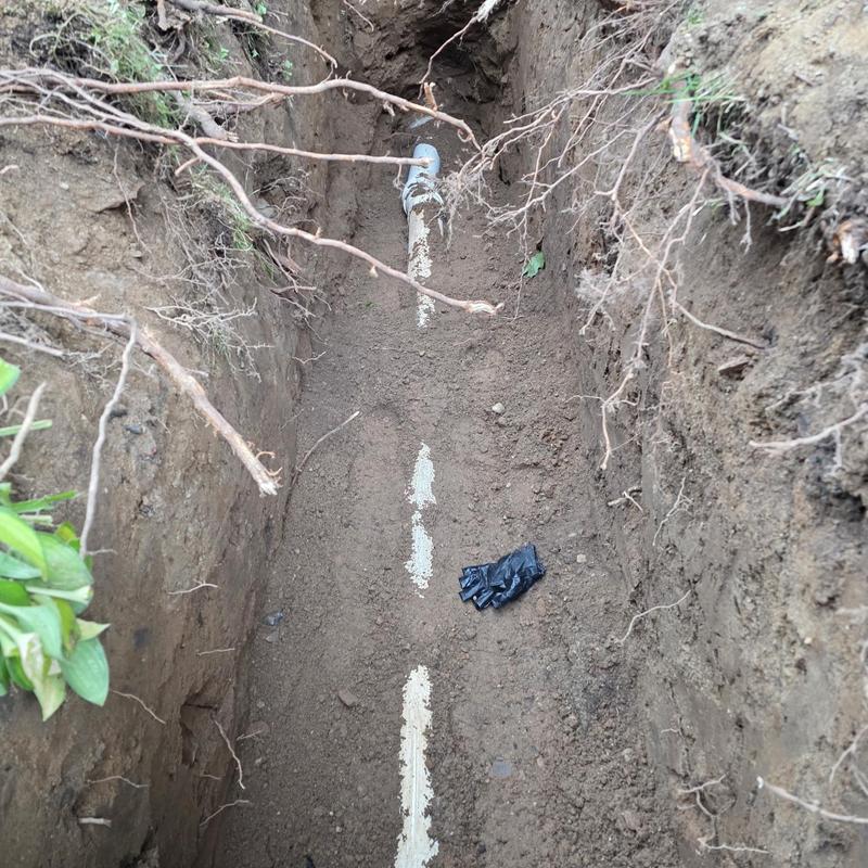 Septic pipe replacement in trench with exposed roots