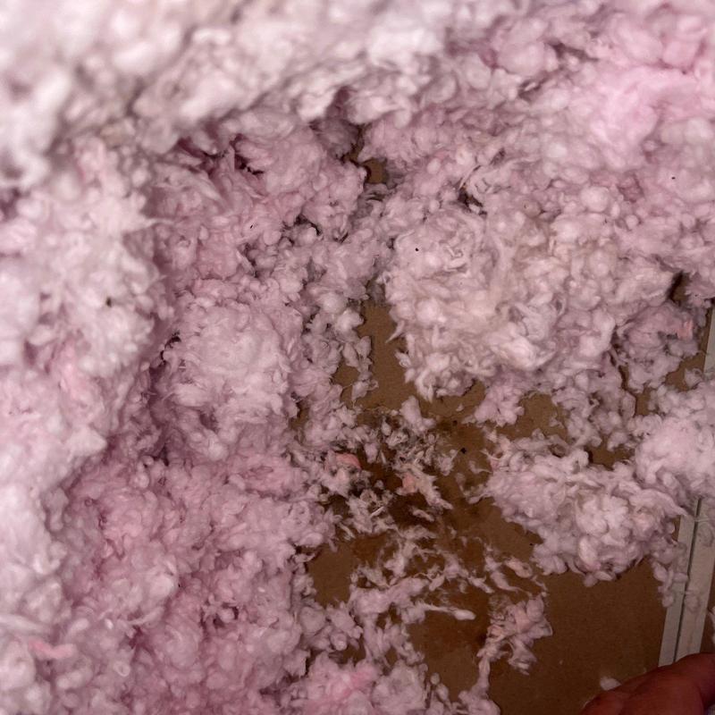 Attic insulation with moisture damage and mold growth