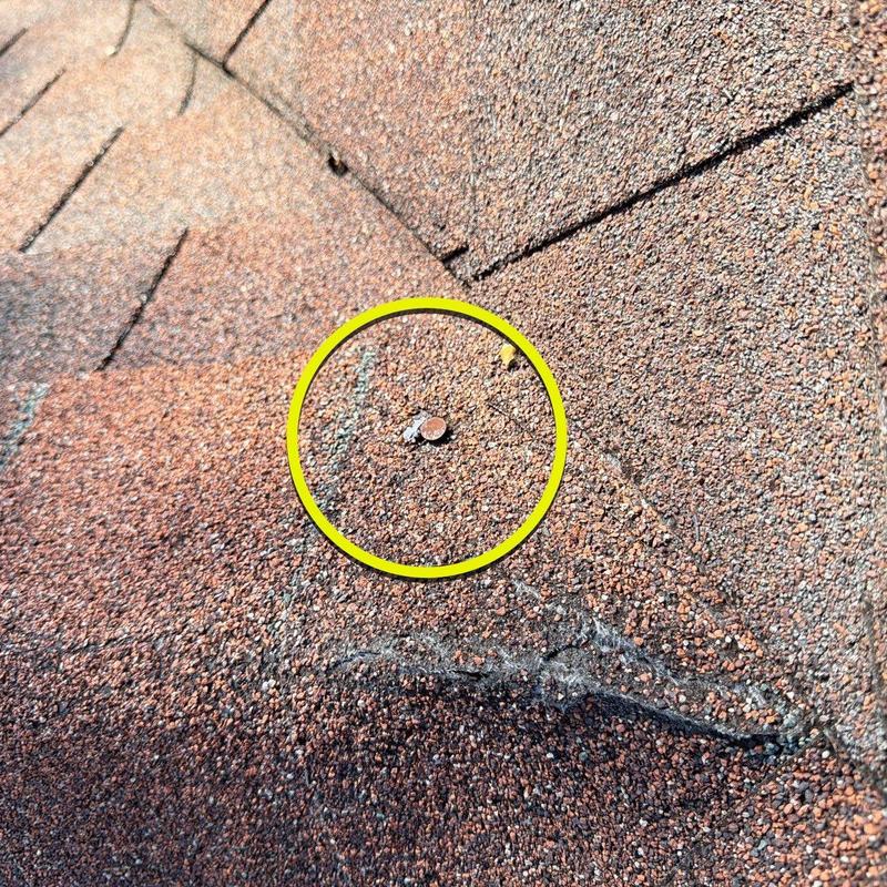 Asphalt shingles with hail damage circled in yellow