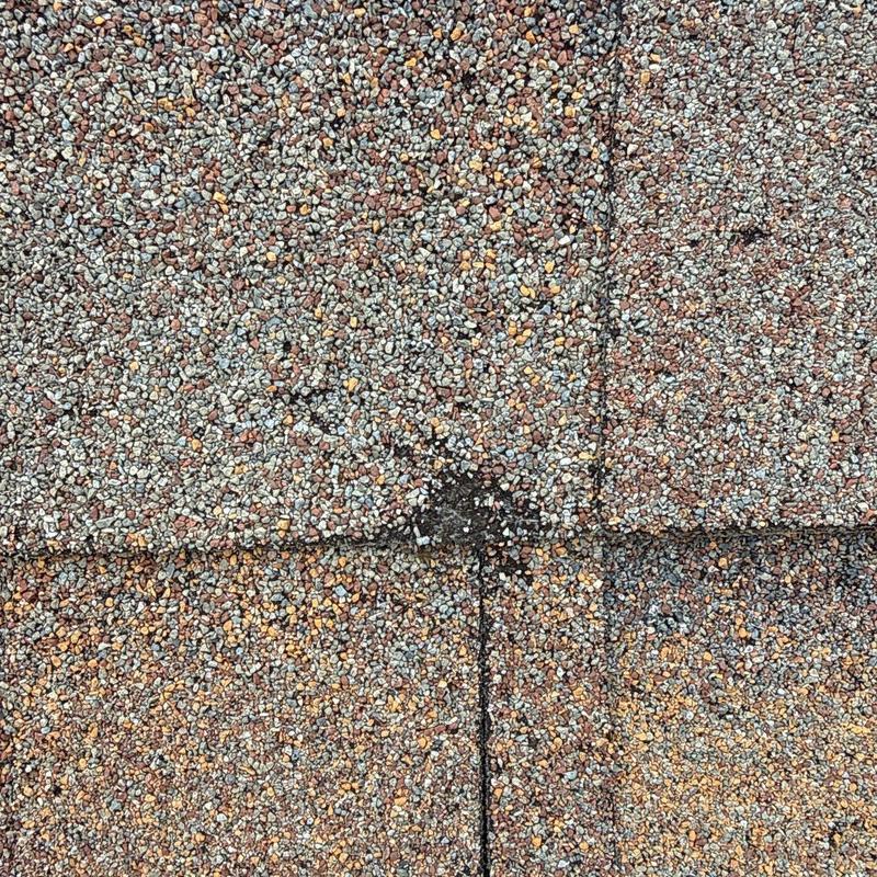 Asphalt roof shingles with hail damage close-up
