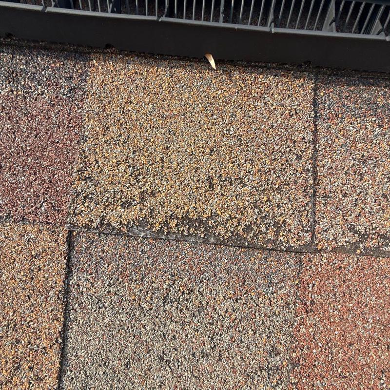 Asphalt roof shingles with visible hail damage