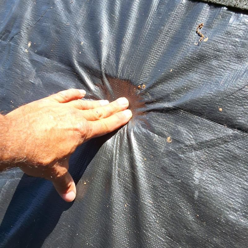 Roof underlayment penetration damage from tree limb impact Roof underlayment penetration damage from tree limb impact