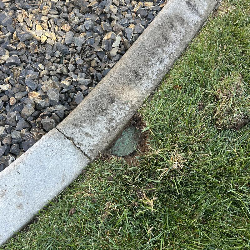 Pop-up storm drain head near curb and grass Pop-up storm drain head near curb and grass