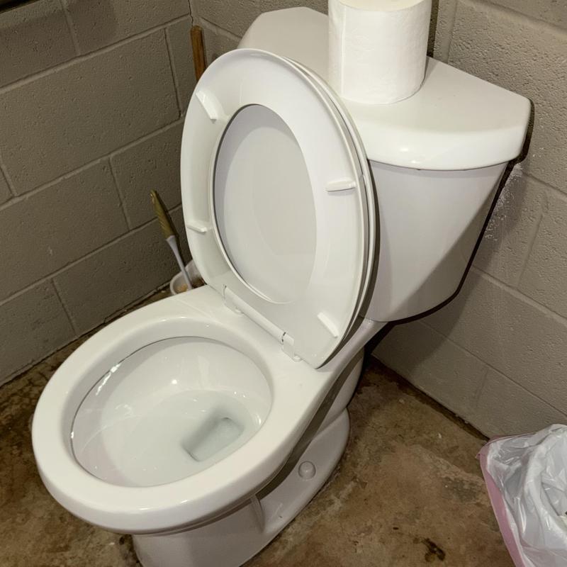 Toilet installation in public pool restroom Toilet installation in public pool restroom