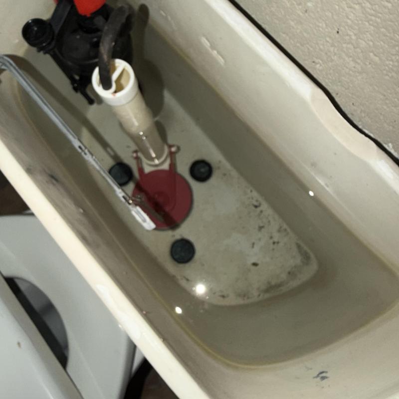 Toilet tank flapper valve and fill valve repair Toilet tank flapper valve and fill valve repair