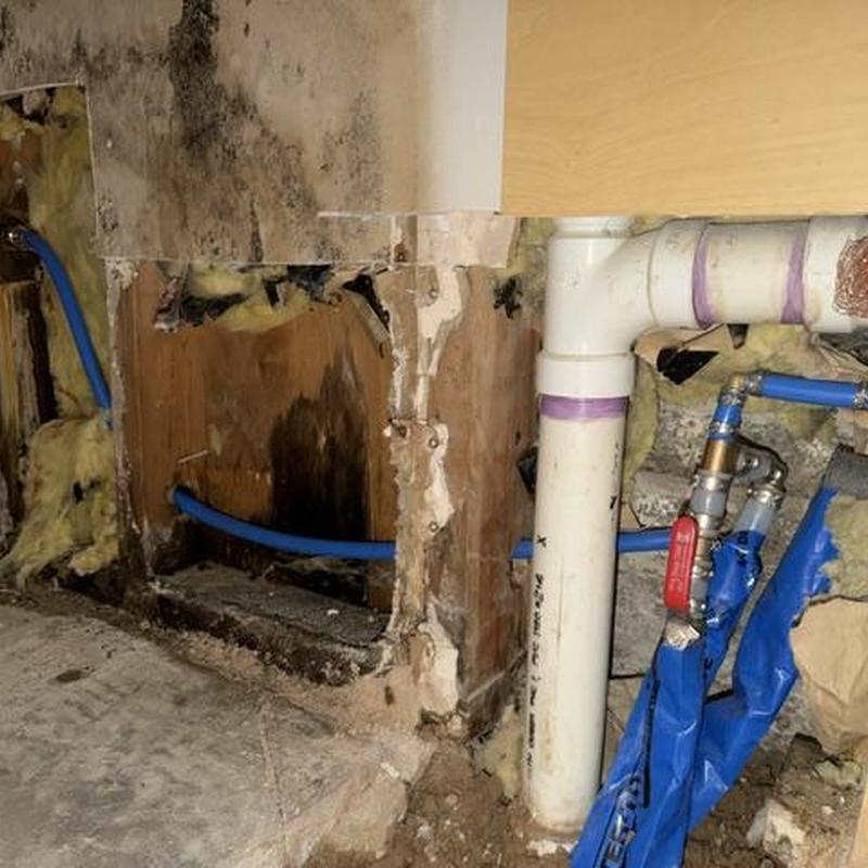 PVC drain pipe and water supply lines with mold damage