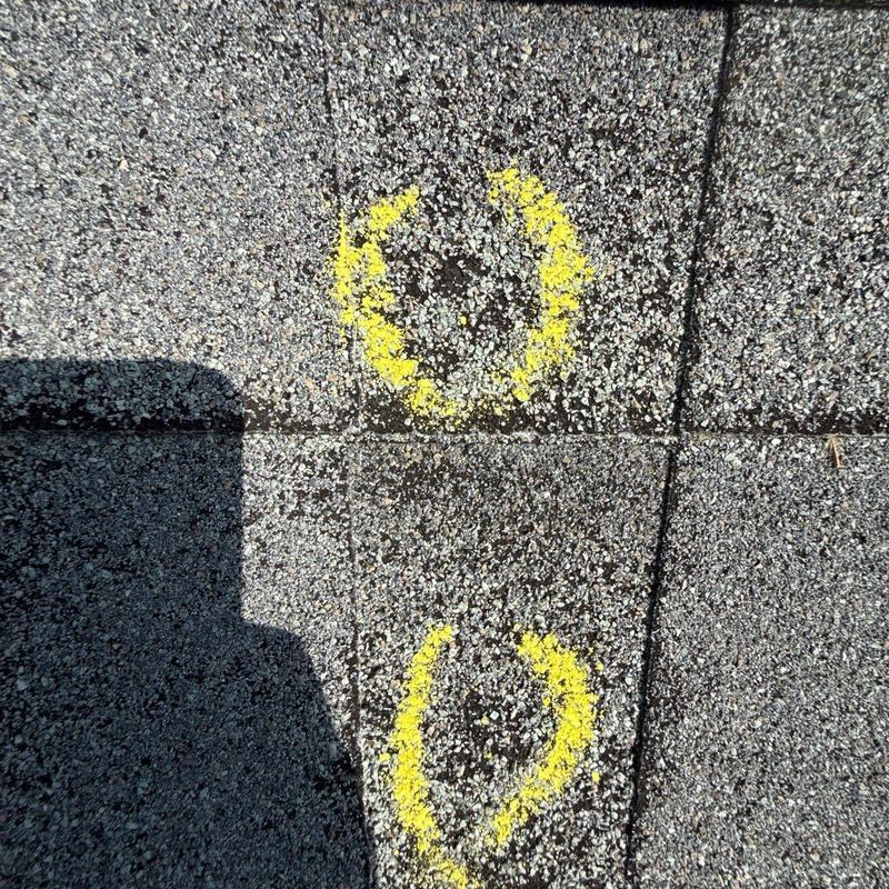 Asphalt roofing shingles with hail damage marked