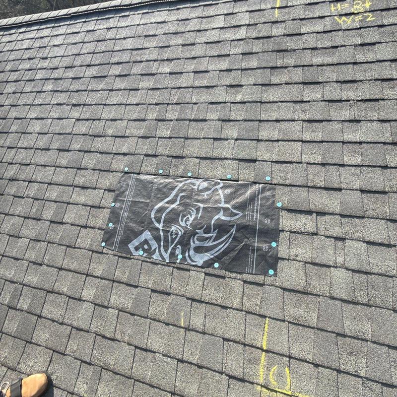 Roof shingles with protective underlayment installed