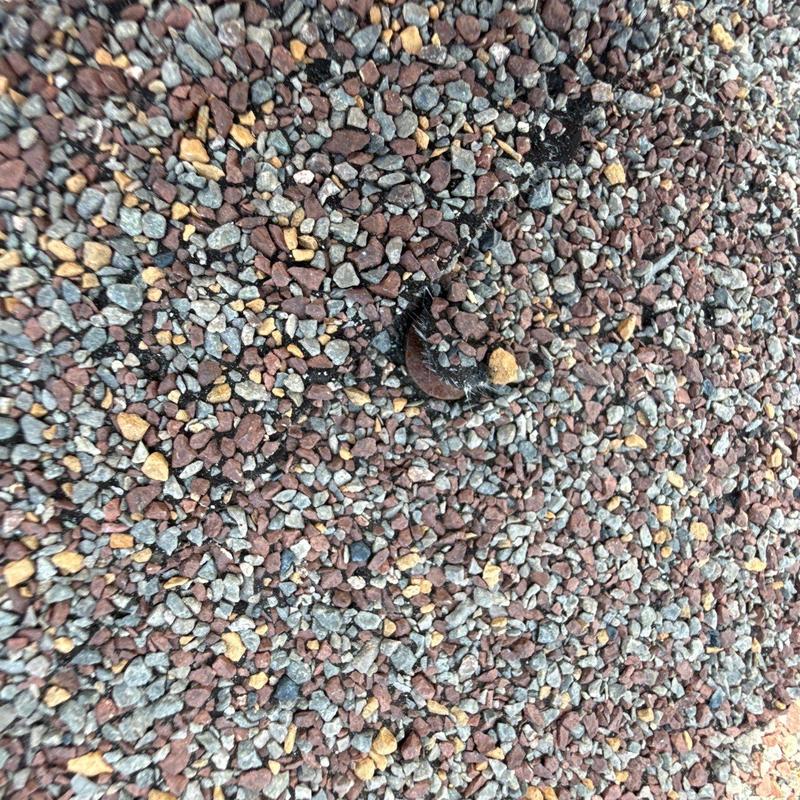 Asphalt shingle roof with hail damage on granules
