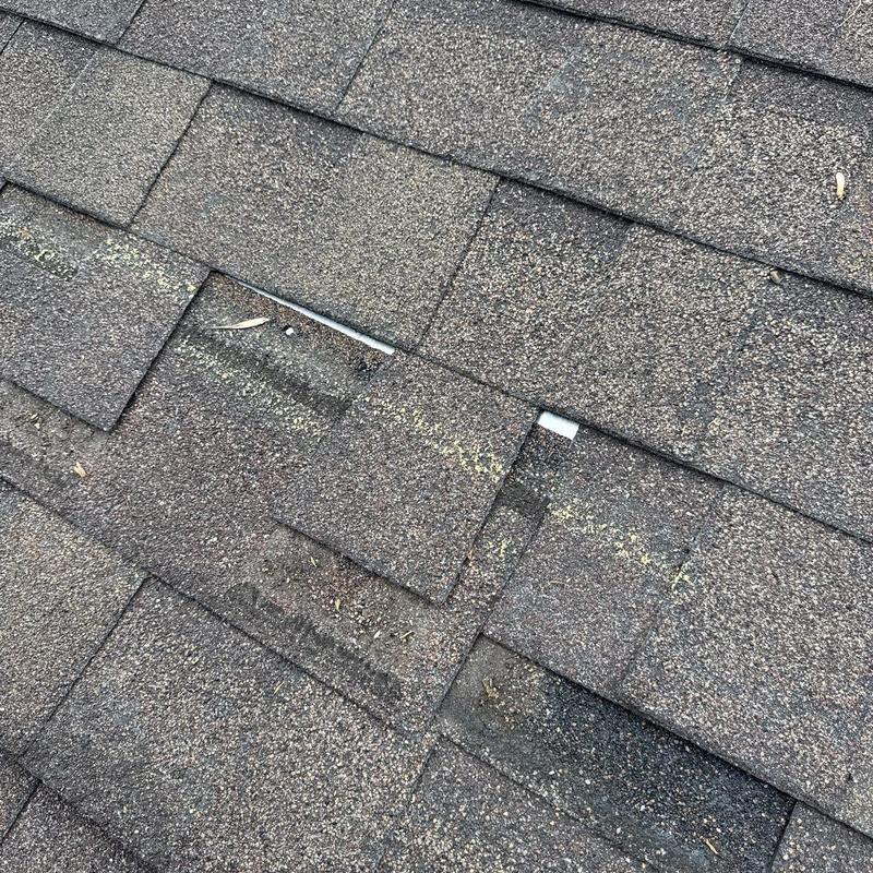 Asphalt roof shingles with hail damage and granule loss