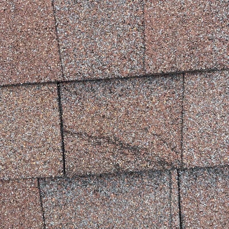 Asphalt roof shingles with visible hail damage marks