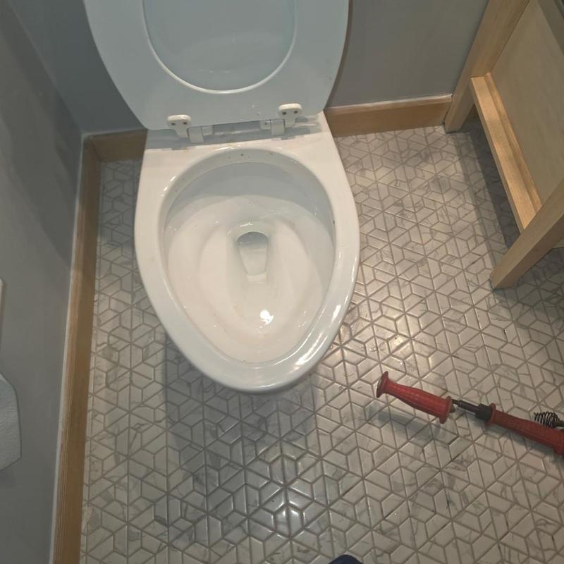 Toilet drain with closet auger clearing blockage