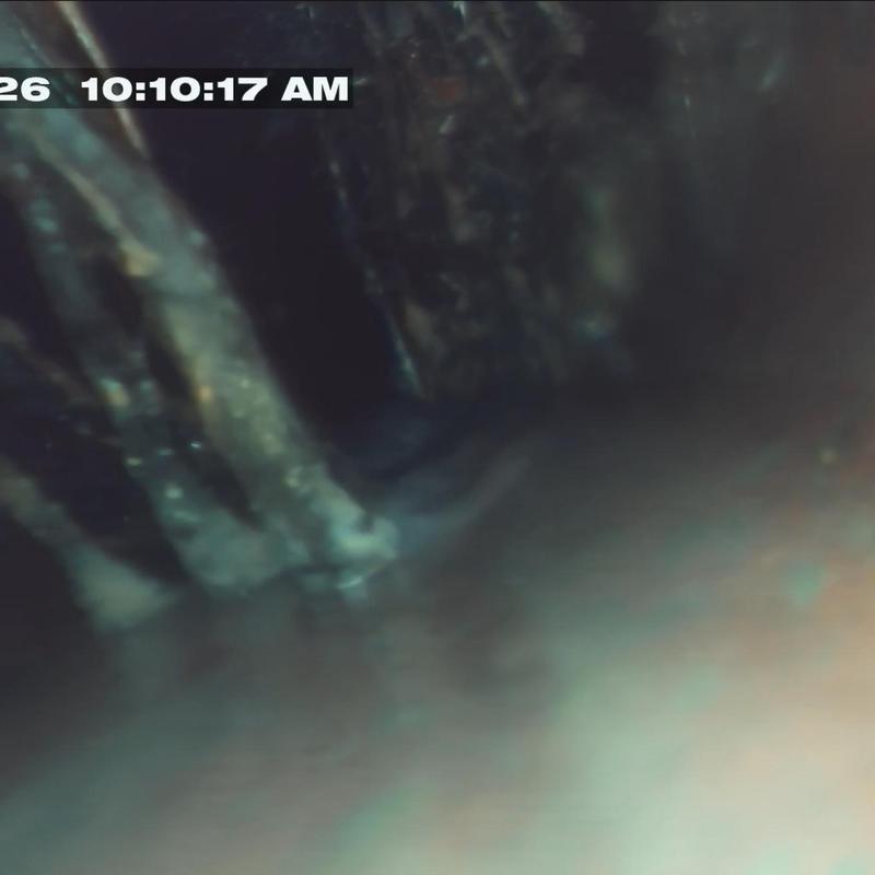 Main sewer line root ball blockage inside pipe
