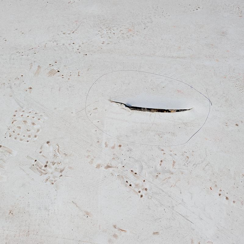 TPO roofing membrane tear circled on flat roof surface