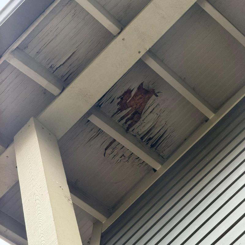 Porch ceiling wood rot and peeling paint damage