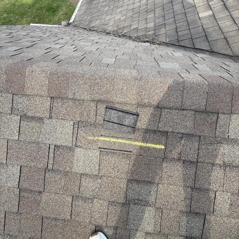 Asphalt roof shingles with hail impact damage marked