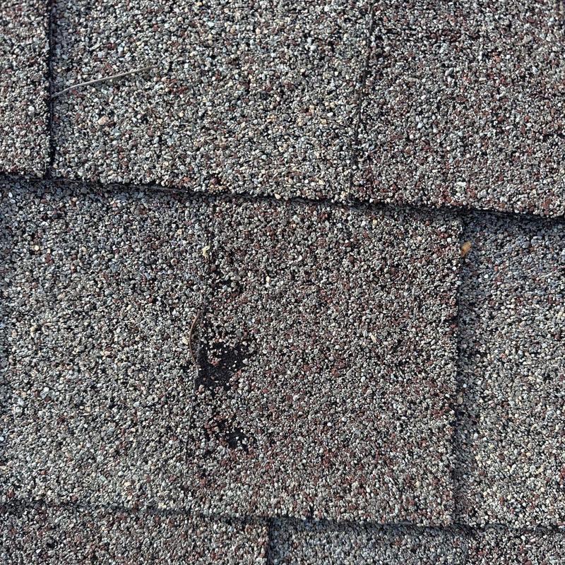Asphalt roof shingles with hail damage close-up