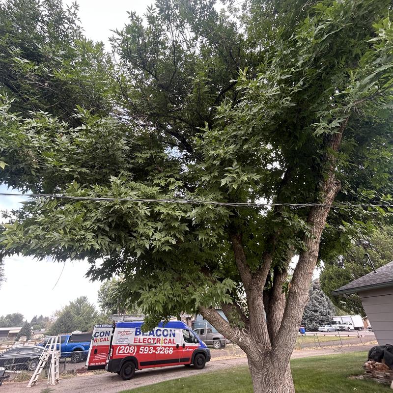 Overhead electrical service line with exposed wiring
