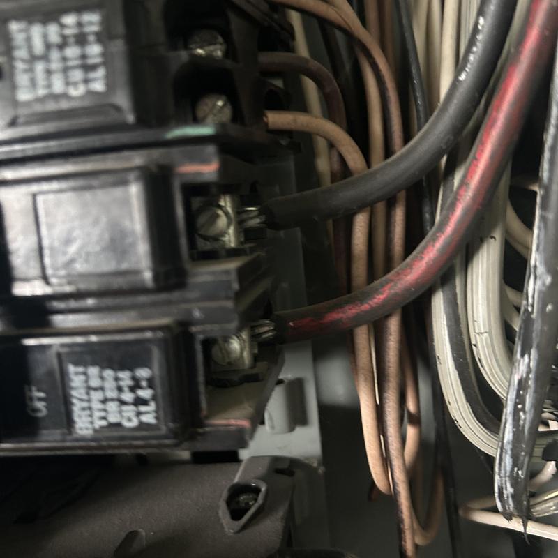 Main service panel wiring with damaged insulation