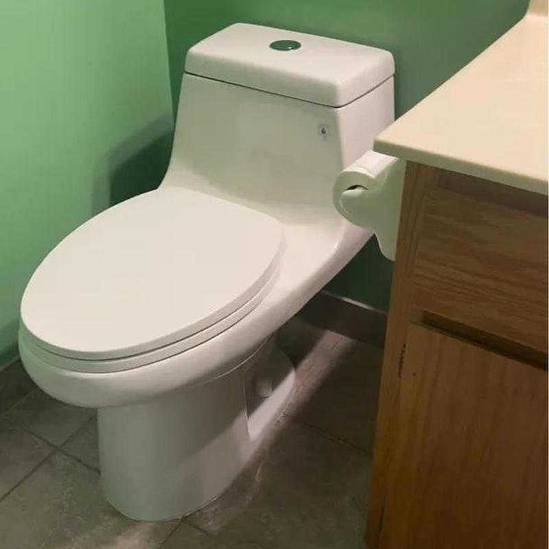 Toilet replacement with dual flush button in bathroom