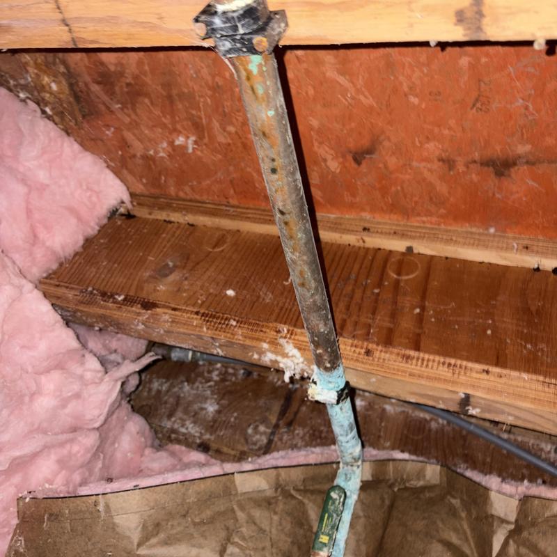 Main shutoff valve leak in crawl space inspection