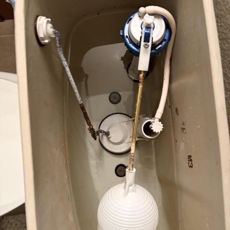 Toilet tank interior with flush valve and float assembly