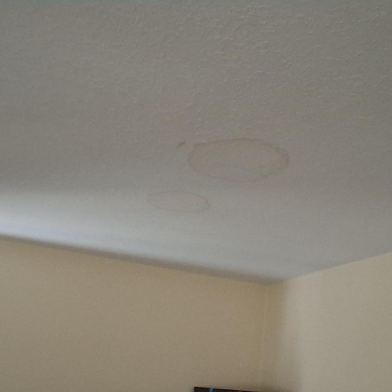 Ceiling water stains from roof leak inspection