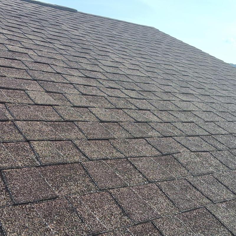 Asphalt shingle roof with aging and leak points visible