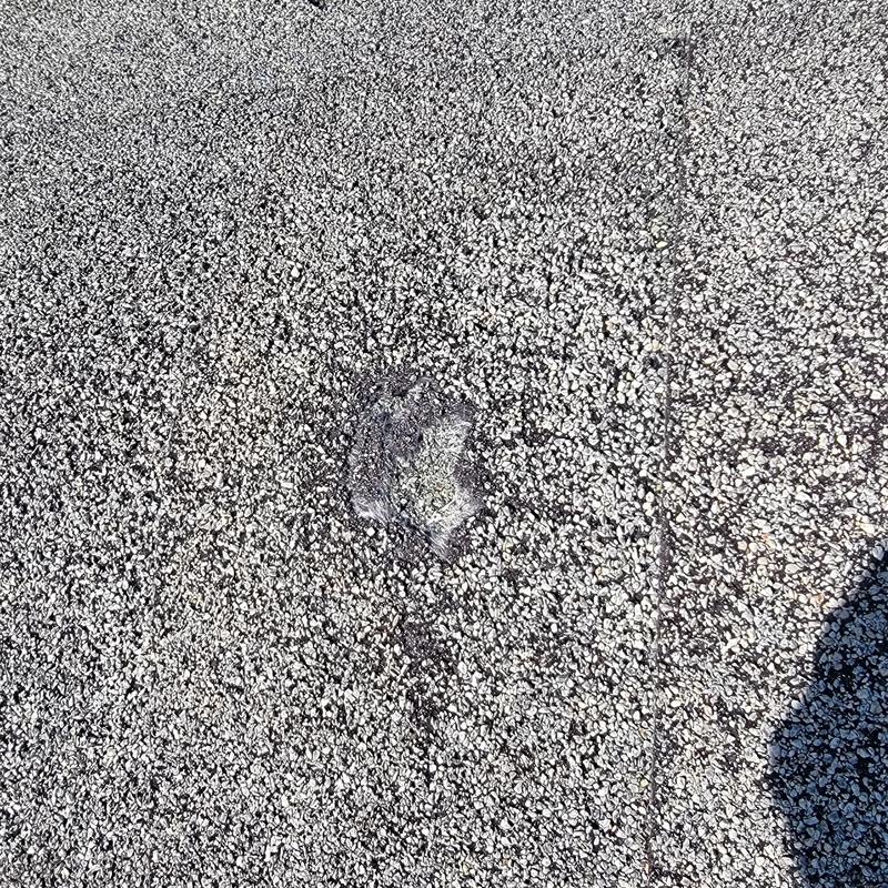 Asphalt shingle roof with damaged granule area Asphalt shingle roof with damaged granule area
