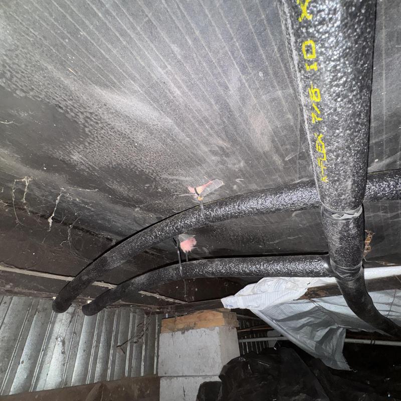 PEX water supply lines in crawl space repipe inspection PEX water supply lines in crawl space repipe inspection