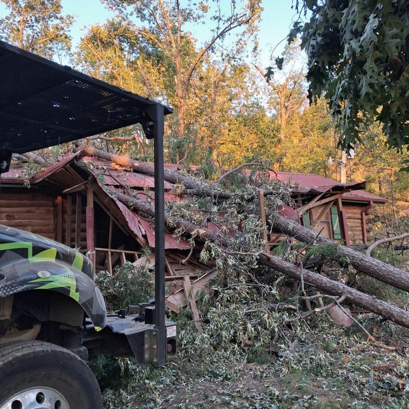 Fallen trees on roof of wooden cabin in forest