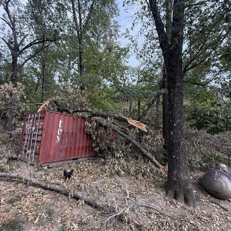 Shipping container with broken tree limbs after storm