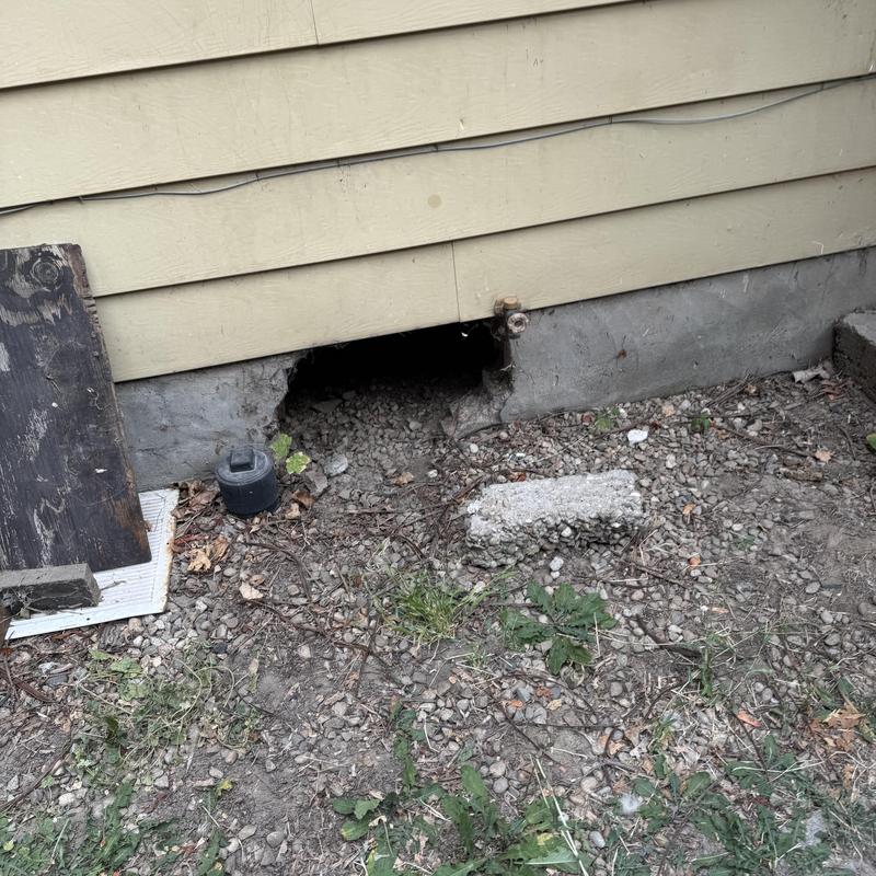 Galvanized pipe removal area under house exterior wall Galvanized pipe removal area under house exterior wall